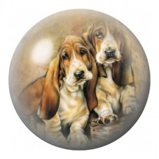 Cabochon en Verre Illustré Duo de Bassets 12 à 25mm pour la Création de Bijoux Fantaisie - DIY