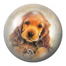 Cabochon en Verre Illustré Chiot Cocker Roux 12 à 25mm pour la Création de Bijoux Fantaisie - DIY