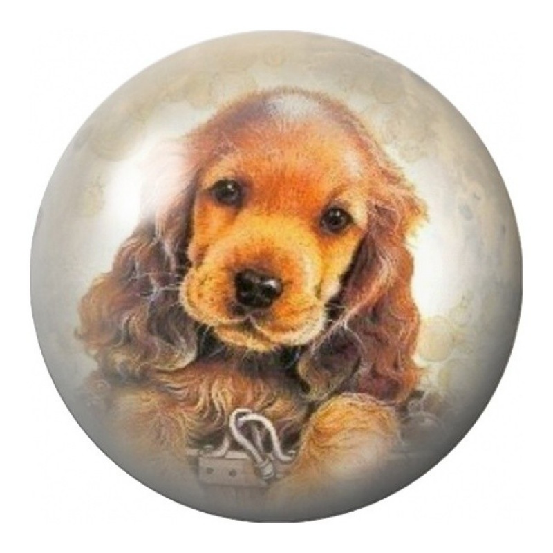 Cabochon en Verre Illustré Chiot Cocker Roux 12 à 25mm
