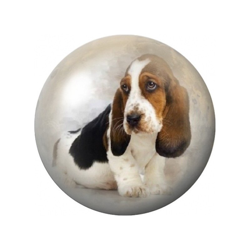 Cabochon en Verre Illustré Basset Tricolore 12 à 25mm