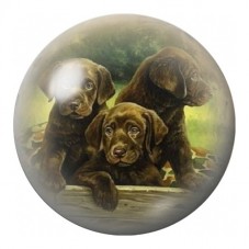 Cabochon en Verre Illustré Famille de Labradors 12 à 25mm pour la Création de Bijoux Fantaisie - DIY
