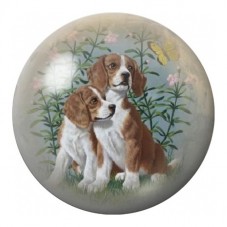 Cabochon en Verre Illustré Duo de Chiens Hollandais 12 à 25mm pour la Création de Bijoux Fantaisie - DIY