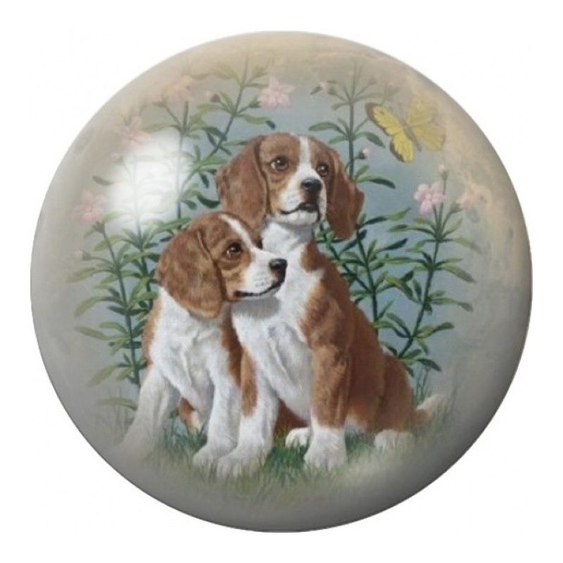 Cabochon en Verre Illustré Duo de Chiens Hollandais 12 à 25mm