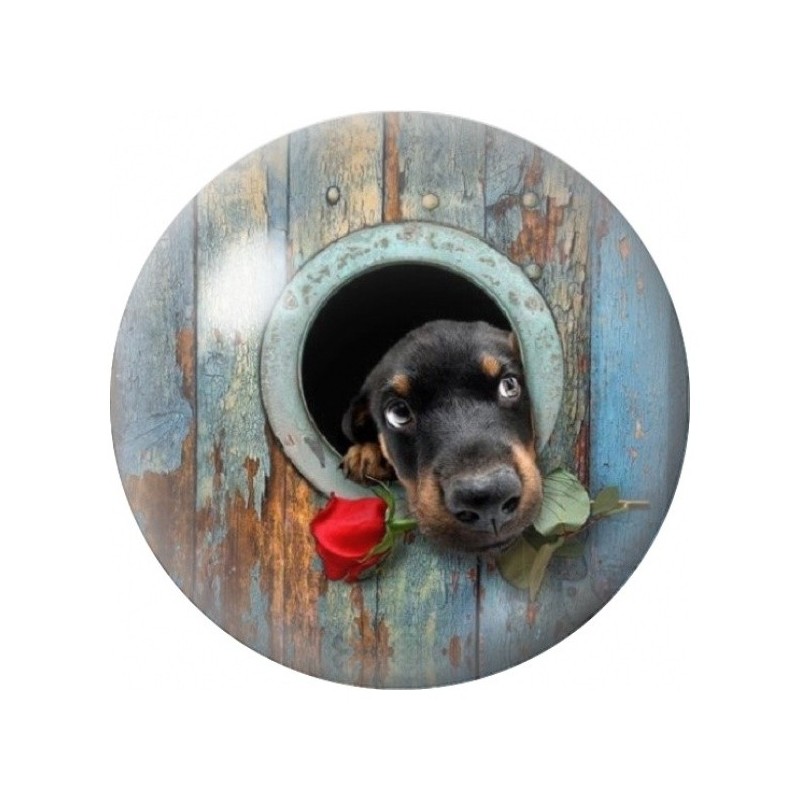 Cabochon en Verre Illustré Chien Noir à la Rose Rouge 12 à 25mm