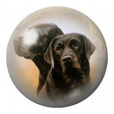 Cabochon en Verre Illustré Labradors Noirs 12 à 25mm pour la Création de Bijoux Fantaisie - DIY