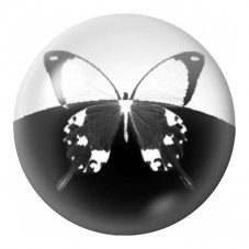 Cabochon en Verre Illustré Papillon Noir et Blanc 12 à 25mm pour la Création de Bijoux Fantaisie - DIY