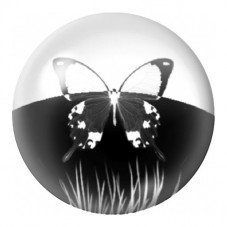Cabochon en Verre Illustré Papillon au-dessus des Herbes 12 à 25mm pour la Création de Bijoux Fantaisie - DIY