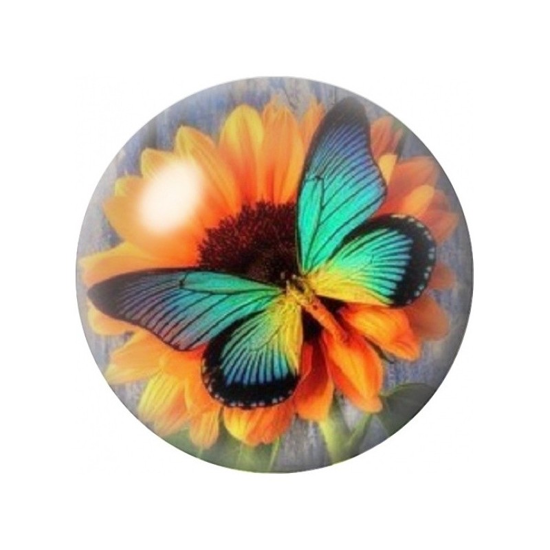 Cabochon en Verre Illustré Papillon Turquoise sur Tournesol 12 à 25mm