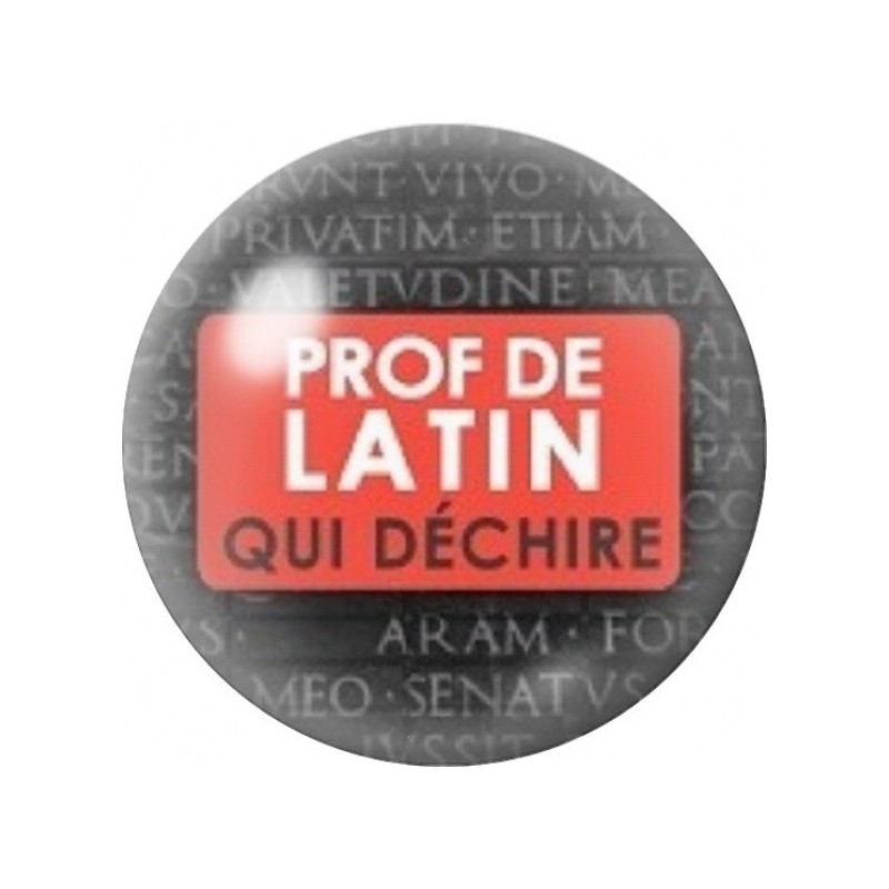 Cabochon en Verre Illustré Prof de Latin qui Déchire 12 à 25mm