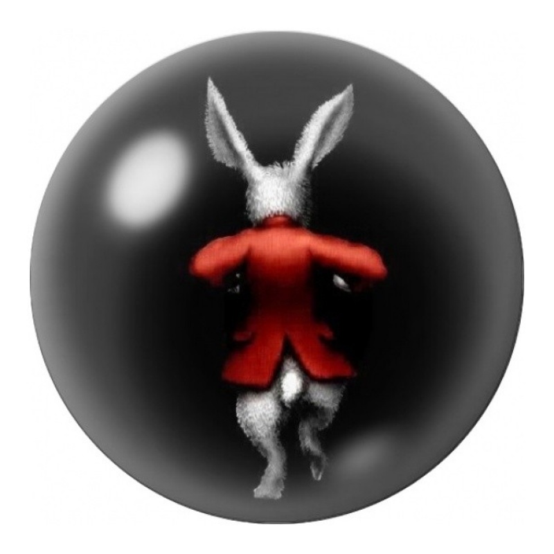 Cabochon en Verre Illustré Lapin Blanc en Redingote Rouge 12 à 25mm