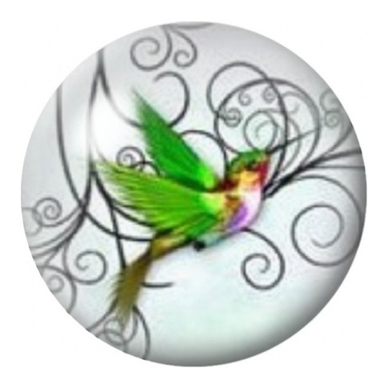 Cabochon en Verre Illustré Colibri Vert aux Arabesques 12 à 25mm
