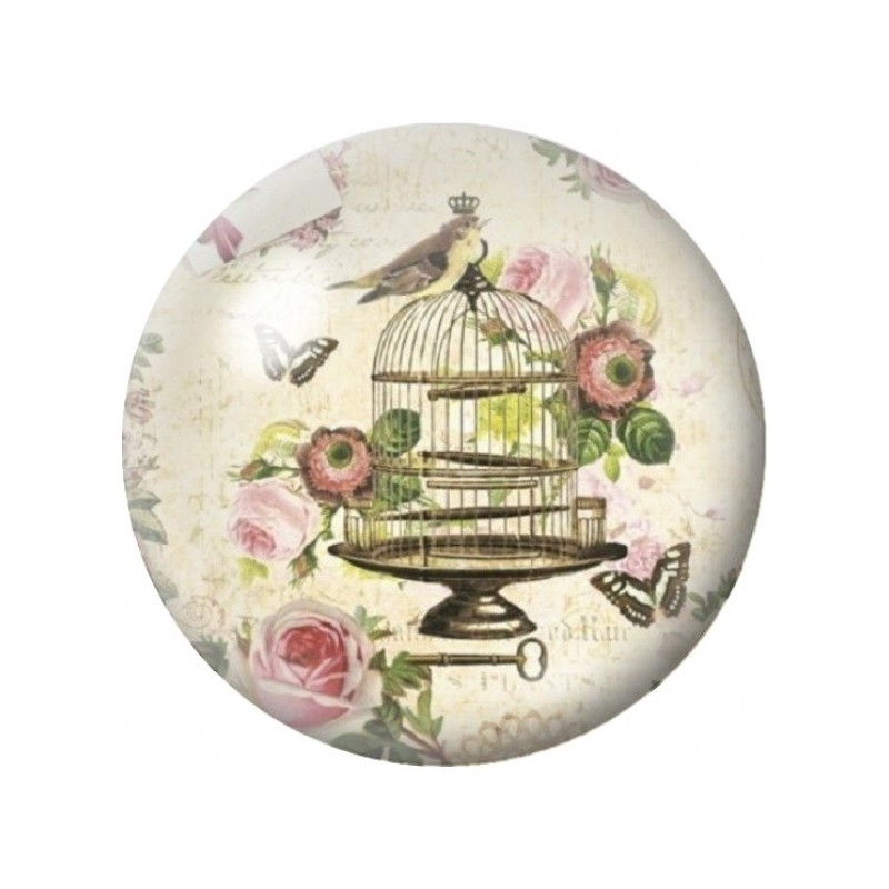 Cabochon en Verre Illustré Cage à Oiseaux et Roses Vintage 12 à 25mm