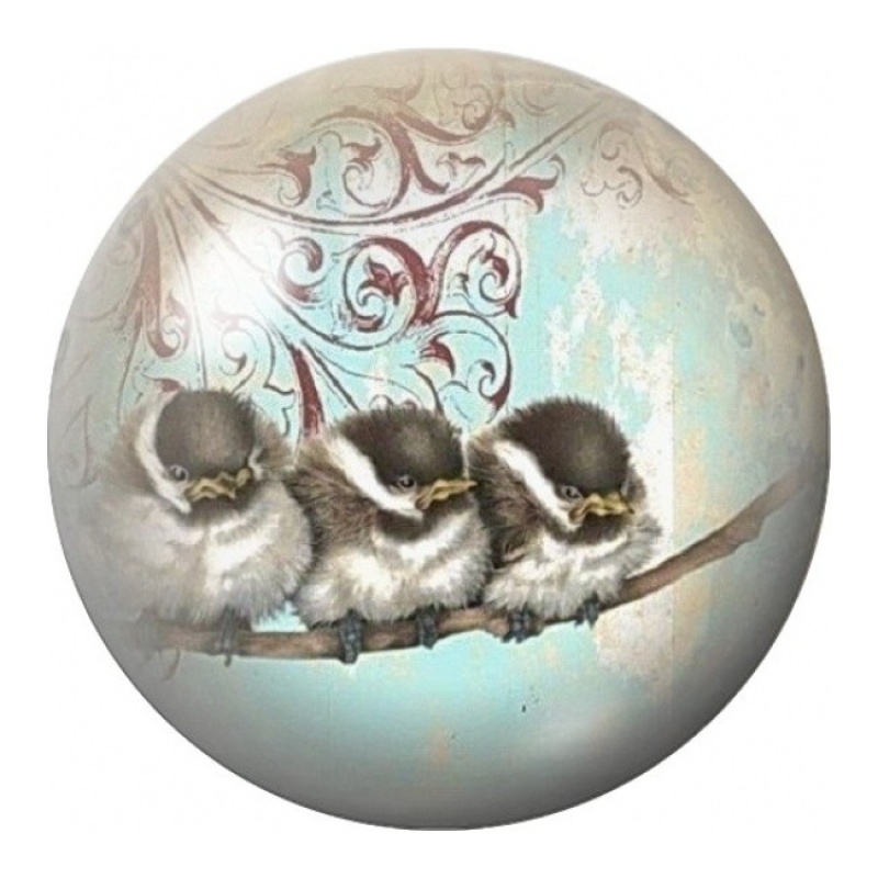 Cabochon en Verre Illustré Trois Oisillons Vintage 12 à 25mm