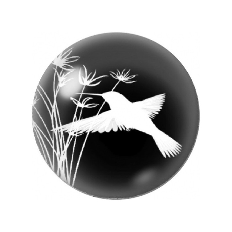 Cabochon en Verre Illustré Colibri Blanc sur Fond Noir 12 à 25mm