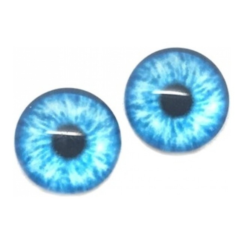 Lot de 2 Cabochons en Verre Motif Iris Bleu 10mm