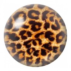 Cabochon en Verre Illustré Léopard Orange 12 à 25mm pour la Création de Bijoux Fantaisie - DIY