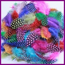 10 Plumes Tachetées Multicolores 5-10cm Déco pour la Création de Bijoux Fantaisie - DIY
