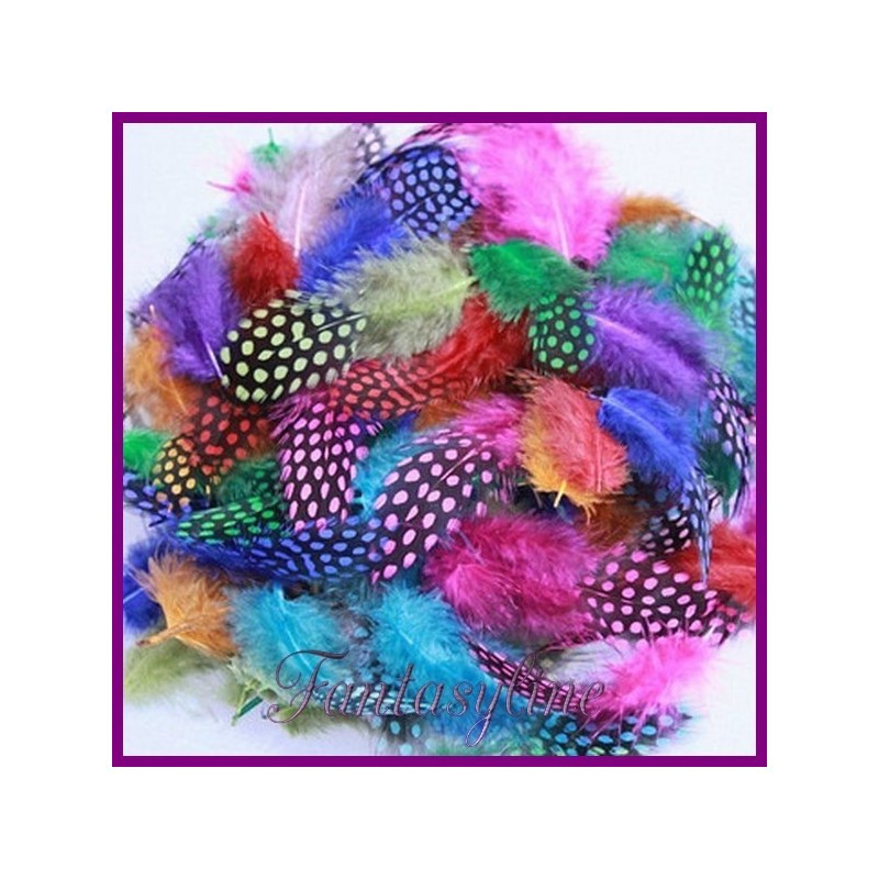 10 Plumes Tachetées Multicolores 5-10cm Déco
