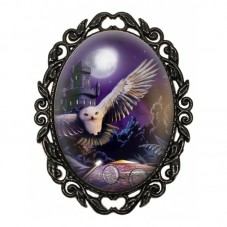 Broche Noire avec Cabochon en Verre Harry Potter pour la Création de Bijoux Fantaisie - DIY
