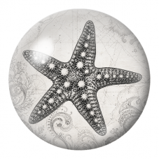 Cabochon en Verre Illustré Étoile de Mer sur Carte Marine 12 à 25mm pour la Création de Bijoux Fantaisie - DIY