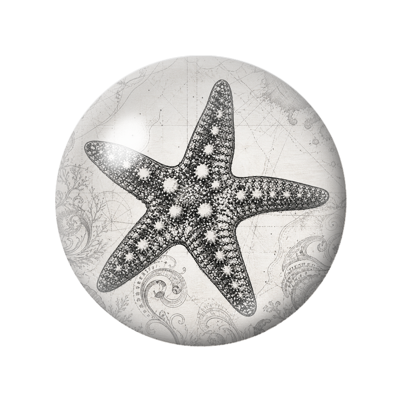 Cabochon en Verre Illustré Étoile de Mer sur Carte Marine 12 à 25mm