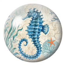 Cabochon en Verre Illustré Hippocampe Bleu sur Carte Marine 12 à 25mm pour la Création de Bijoux Fantaisie - DIY