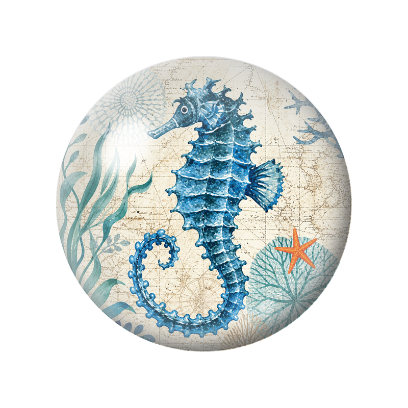 Cabochon en Verre Illustré Hippocampe Bleu sur Carte Marine 12 à 25mm