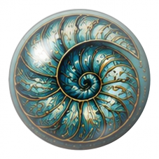 Cabochon en Verre Illustré Coquillage Nautile Turquoise et Or 12 à 25mm pour la Création de Bijoux Fantaisie - DIY