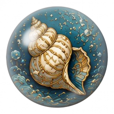 Cabochon en Verre Illustré Grand Coquillage Doré 12 à 25mm pour la Création de Bijoux Fantaisie - DIY