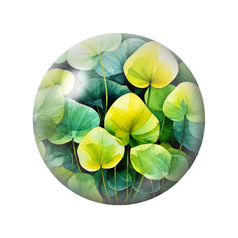 Cabochon en Verre Illustré Feuilles Rondes Vertes et Jaune Citron 12 à 25mm