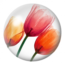 Cabochon en Verre Illustré Tulipes Jaunes Orange et Corail 12 à 25mm pour la Création de Bijoux Fantaisie - DIY
