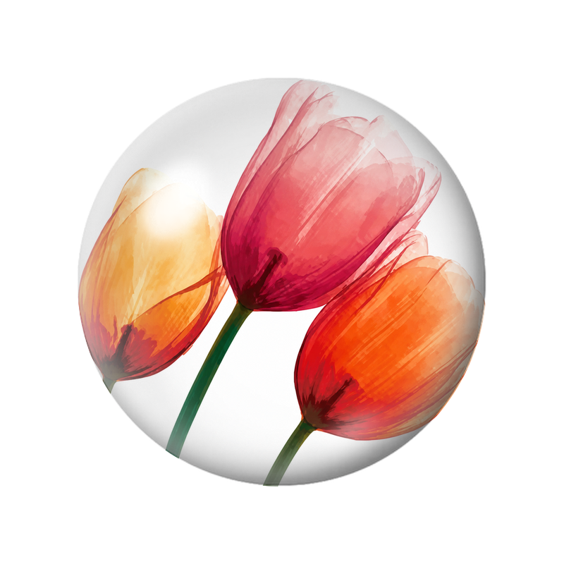 Cabochon en Verre Illustré Tulipes Jaunes Orange et Corail 12 à 25mm