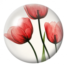 Cabochon en Verre Illustré Tulipes Rouges à l’Aquarelle 12 à 25mm pour la Création de Bijoux Fantaisie - DIY