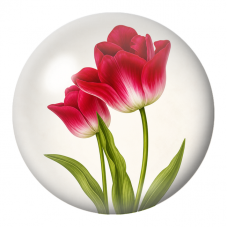 Cabochon en Verre Illustré Tulipes Rouges et Blanches 12 à 25mm pour la Création de Bijoux Fantaisie - DIY