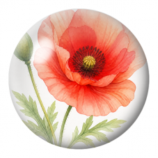 Cabochon en Verre Illustré Grand Coquelicot Corail 12 à 25mm pour la Création de Bijoux Fantaisie - DIY