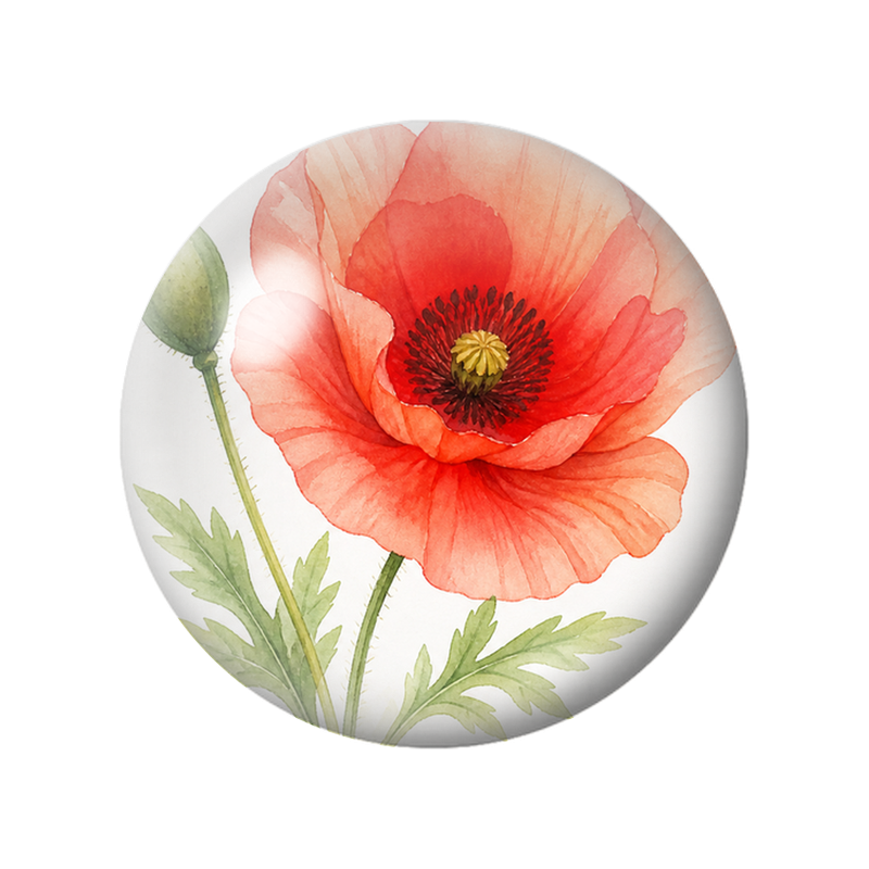 Cabochon en Verre Illustré Grand Coquelicot Corail 12 à 25mm