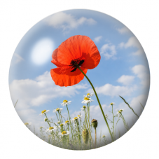 Cabochon en Verre Illustré Coquelicot Rouge sous le Ciel Bleu 12 à 25mm pour la Création de Bijoux Fantaisie - DIY