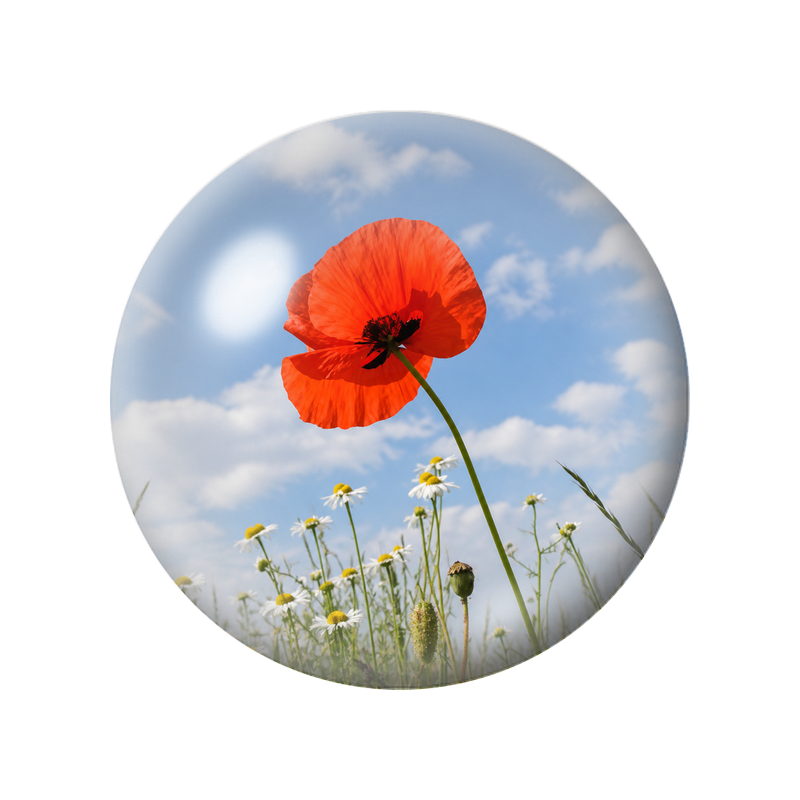 Cabochon en Verre Illustré Coquelicot Rouge sous le Ciel Bleu 12 à 25mm