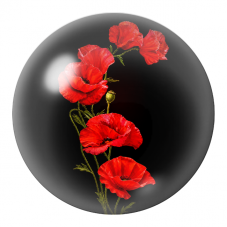 Cabochon en Verre Illustré Coquelicots Rouges sur Fond Noir 12 à 25mm pour la Création de Bijoux Fantaisie - DIY