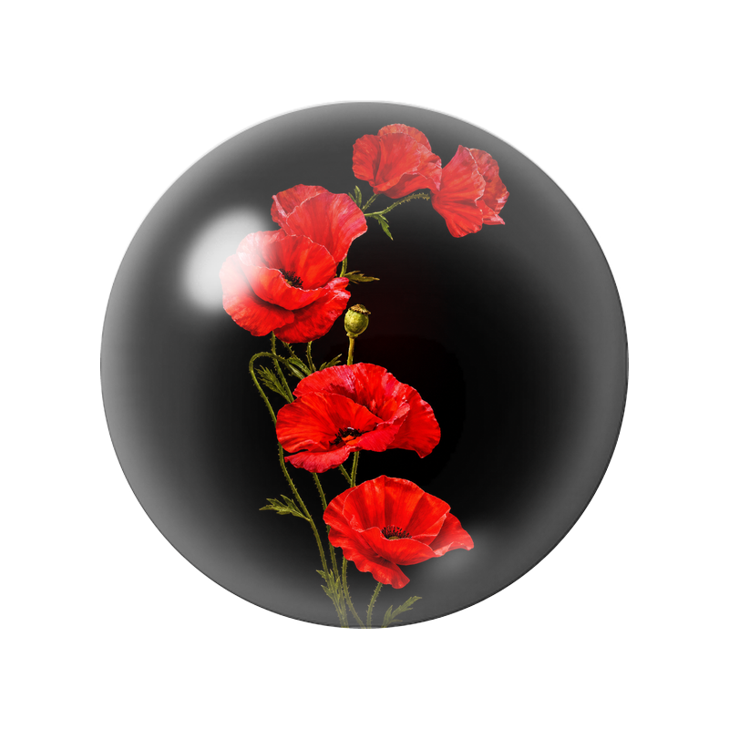 Cabochon en Verre Illustré Coquelicots Rouges sur Fond Noir 12 à 25mm