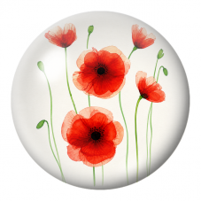 Cabochon en Verre Illustré Coquelicots Rouges aux Longues Tiges Vertes 12 à 25mm pour la Création de Bijoux Fantaisie - DIY