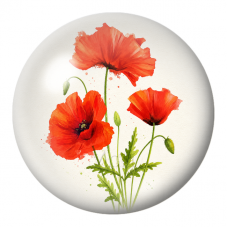 Cabochon en Verre Illustré Coquelicots Orange au Feuillage Vert 12 à 25mm pour la Création de Bijoux Fantaisie - DIY