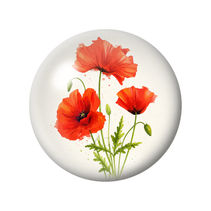 Cabochon en Verre Illustré Coquelicots Orange au Feuillage Vert 12 à 25mm