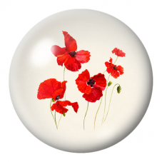 Cabochon en Verre Illustré Coquelicots Rouges sur Fond Crème 12 à 25mm pour la Création de Bijoux Fantaisie - DIY