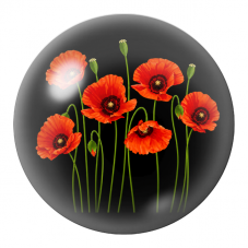 Cabochon en Verre Illustré Coquelicots Orange sur Fond Noir 12 à 25mm pour la Création de Bijoux Fantaisie - DIY