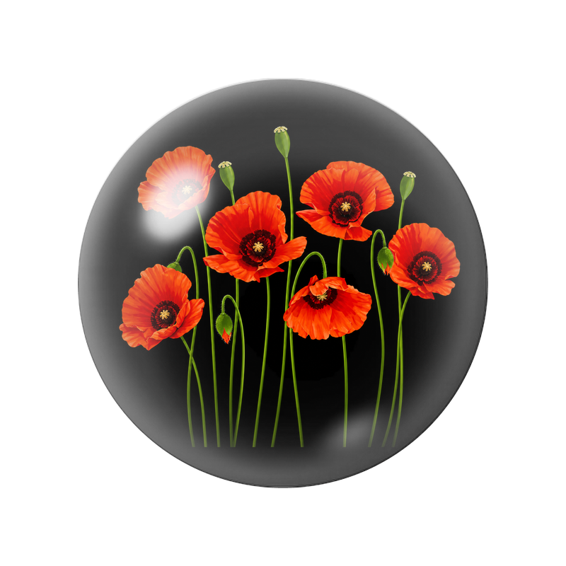 Cabochon en Verre Illustré Coquelicots Orange sur Fond Noir 12 à 25mm pour la Création de Bijoux Fantaisie - DIY