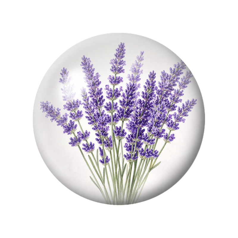 Cabochon en Verre Illustré Bouquet de Lavande Violette 12 à 25mm