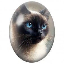 Cabochon en Verre Illustré Chat Siamois au Regard Bleu 13x18, 18x25 ou 30x40mm pour la Création de Bijoux Fantaisie - DIY