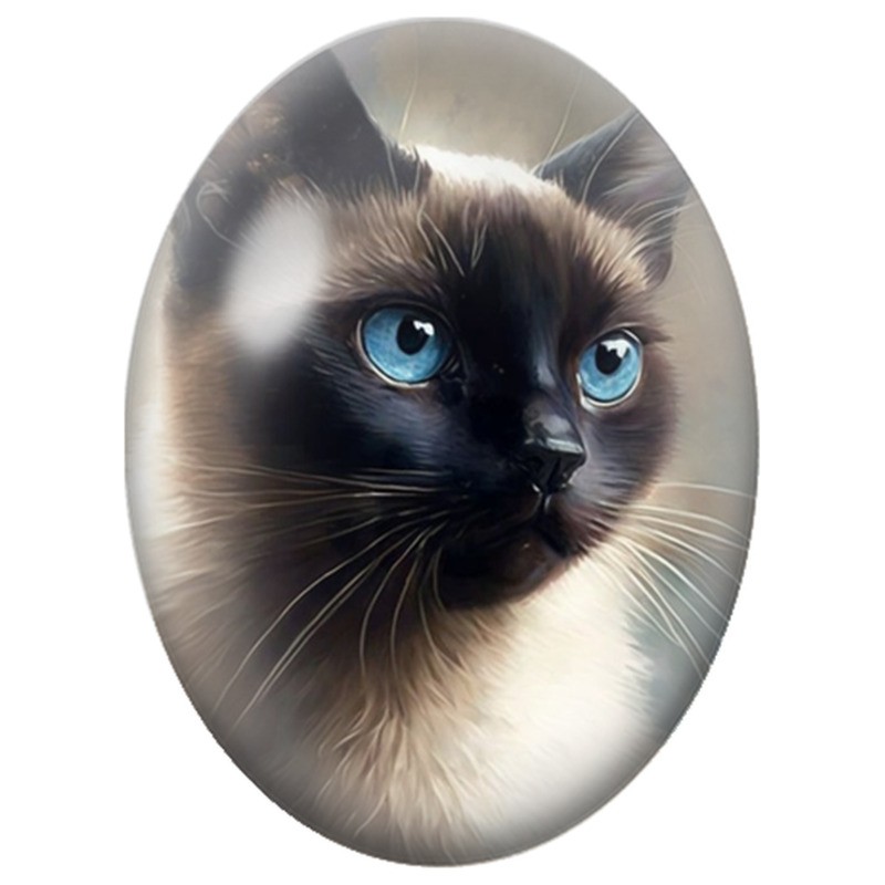 Cabochon en Verre Illustré Chat Siamois au Regard Bleu 13x18, 18x25 ou 30x40mm