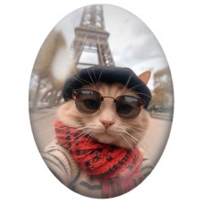 Cabochon en Verre Illustré Chat Parisien au Béret devant la Tour Eiffel 13x18, 18x25 ou 30x40mm pour la Création de Bijoux Fanta